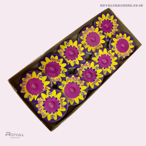 Ground Chakkar Special